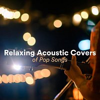 Různí interpreti – Relaxing Acoustic Covers of Pop Songs