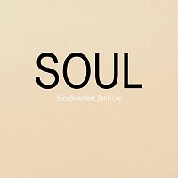 Brice Brown, Darryl Lee – Soul (feat. Darryl Lee)