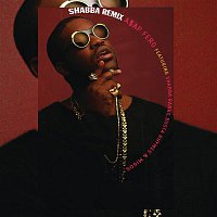 Přední strana obalu CD Shabba REMIX