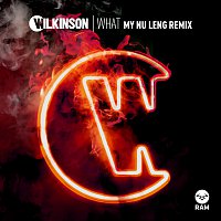 Wilkinson – What [My Nu Leng Remix]