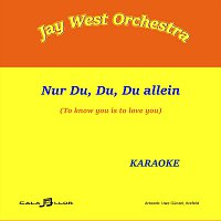 Jay West orchestra – Nur du du du allein
