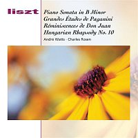 André, Watts, Charles Rosen – Piano Sonata