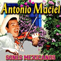 Antonio Maciel – Sones Mexicanos