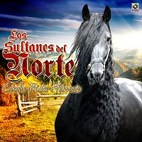 Los Sultanes Del Norte – Caballo Prieto Afamado