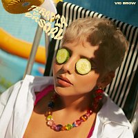 Vic Brow – Terapia De Casual