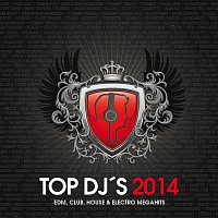 Různí interpreti – TOP DJ´s 2014