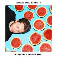 Steve Void, AUSTN – Without You [VIP Mix]