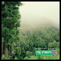 The Streets – Everything Is Borrowed [Spanish Version]