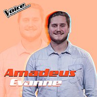 Amadeus Evanne – Where You're At [Fra TV-Programmet "The Voice"]