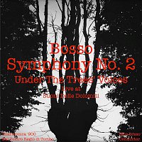 Ezio Bosso – Symphony No.2 "Under the Trees Voices" (Live)