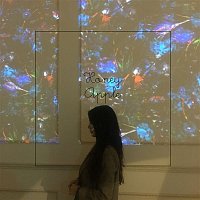 Přední strana obalu CD Break Up