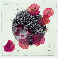 Savera – Swim