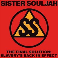 Sister Souljah – The Final Solution: Slavery's Back In Effect