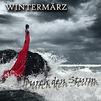 Wintermarz – Durch den Sturm