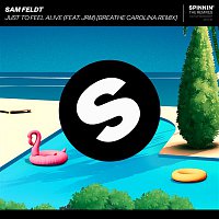Sam Feldt – Just To Feel Alive (feat. JRM) [Breathe Carolina Remix]