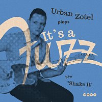 Urban Zotel – It's A Fuzz!