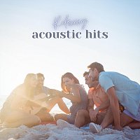 Různí interpreti – Relaxing Acoustic Hits