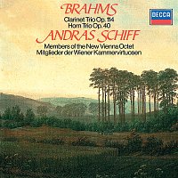 András Schiff, Peter Schmidl, Gunter Hogner – Brahms: Clarinet Trio; Horn Trio