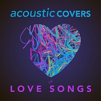 Různí interpreti – Acoustic Covers of Love Songs