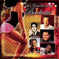 Různí interpreti – Los Grandes De La Bachata