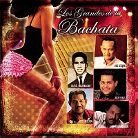 Los Grandes De La Bachata