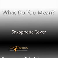 Saxtribution – What Do You Mean? (Saxophone Cover)
