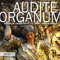 Různí interpreti – Audite organum CD