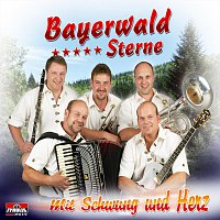 Bayerwald Sterne – Mit Schwung und Herz