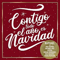 Contigo Todo El Ano Es Navidad