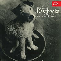 Přední strana obalu CD Čapek: Daschenka oder das Leben eines jungen Hundes