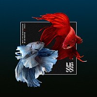 Shapeshifter, The Upbeats – SSXUB