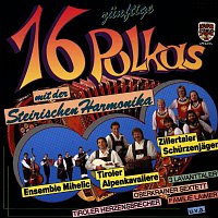 Různí interpreti – 16 zunftige Polkas mit der Steirischen Harmonika