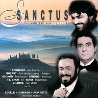 Placido Domingo, Bryn Terfel – Sanctus - Das Konzert fur die Seele