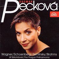 Přední strana obalu CD Wagner, Schönberg, Zemlinsky, Brahms: Písňový recitál