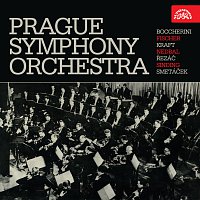 Symfonický orchestr hl.m. Prahy (FOK) – Symfonický orchestr hl.m. Prahy (FOK)