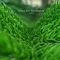 Tom Saboia – Sound For The Healing (528Hz)