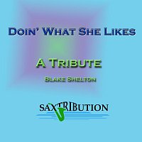 Doin' What She Likes - A Tribute to Blake Shelton