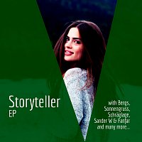 Různí interpreti – Storyteller [EP]