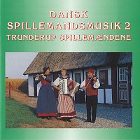 Dansk Spillemandsmusik 2
