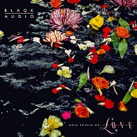 Blaqk Audio – Only Things We Love