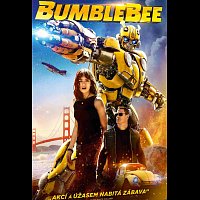 Různí interpreti – Bumblebee DVD