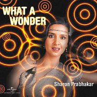 Sharon Prabhakar, Bashir Sheikh – What A Wonder
