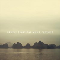 Chris Snelling, Paula Kiete, James Shanon, Jonathan Sarlat, Max Arnald – Gentle Classical Music Playlist