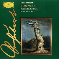 Schubert: Winterreise D 911