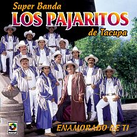 Los Pajaritos de Tacupa – Enamorado de Ti