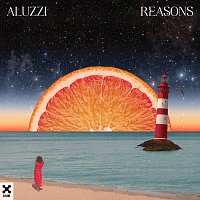 Aluzzi – Reasons