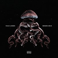 Vale Lambo – Medusa