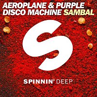Aeroplane & Purple Disco Machine – Sambal