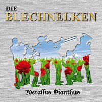 Die Blechnelken – Metallus Dianthus