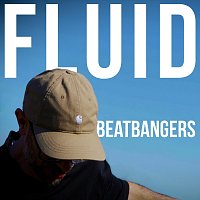 Přední strana obalu CD Fluid